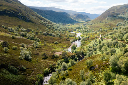 Umbraco.Cms.Core.Models.MediaWithCrops`1[LevyInternational.ContentModels.Image]