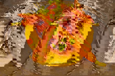 Umbraco.Cms.Core.Models.MediaWithCrops`1[LevyInternational.ContentModels.Image]