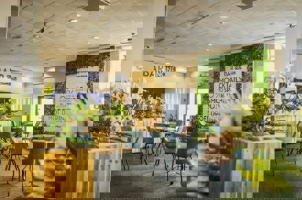 Umbraco.Cms.Core.Models.MediaWithCrops`1[LevyInternational.ContentModels.Image]