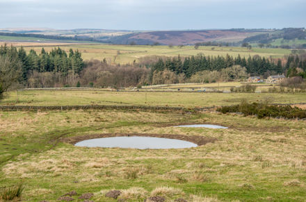 Umbraco.Cms.Core.Models.MediaWithCrops`1[LevyInternational.ContentModels.Image]