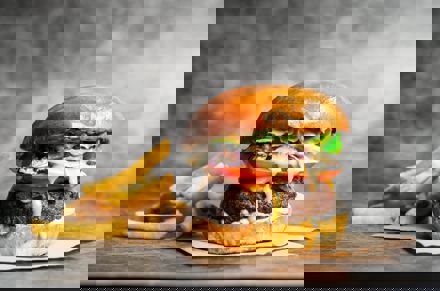 Umbraco.Cms.Core.Models.MediaWithCrops`1[LevyInternational.ContentModels.Image]