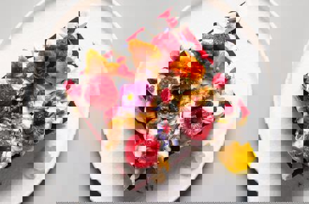 Umbraco.Cms.Core.Models.MediaWithCrops`1[LevyInternational.ContentModels.Image]