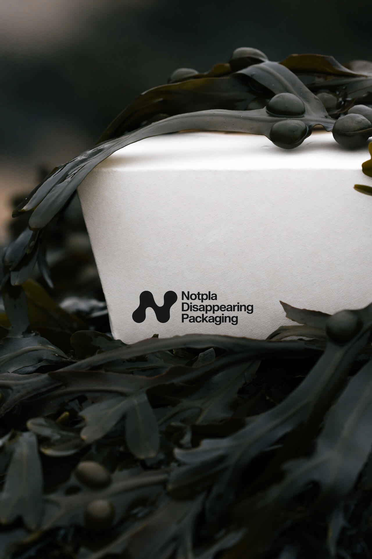 /media/kxolct4v/coatings-product-03.jpg?width=1280&height=1920&v=1dc0dc5c6ecd340