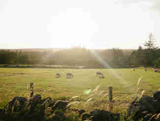 Levy Biohub 150725 1168