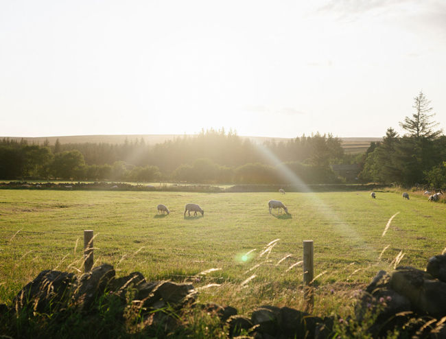 Levy Biohub 150725 1168