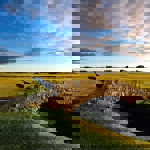 /media/pbgf1pqm/4e1dbee8884a0f653b82ad007be94798197284fd.jpeg?v=1dcb3094f29f6a0