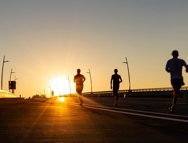 Adobestock 547812344