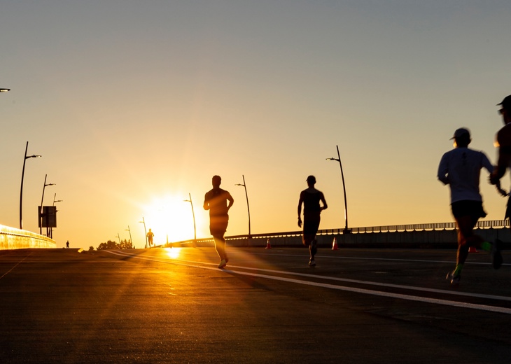 Adobestock 547812344