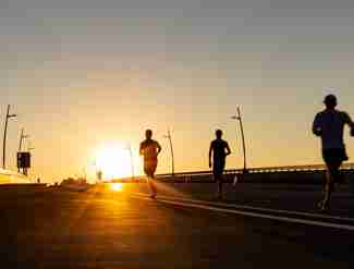 Adobestock 547812344