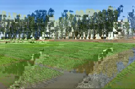 Umbraco.Cms.Core.Models.MediaWithCrops`1[LevyInternational.ContentModels.Image]