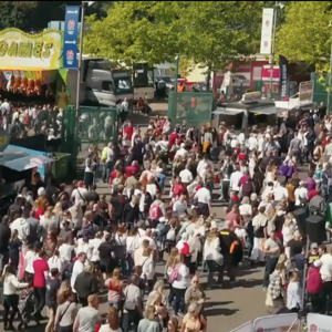 /media/v1mknzgt/insights-experience.png?width=2940&height=1230&v=1dc1805b33880c0