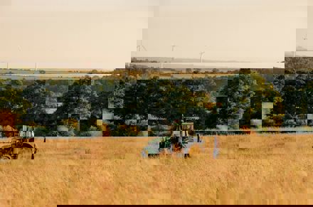 Umbraco.Cms.Core.Models.MediaWithCrops`1[LevyInternational.ContentModels.Image]