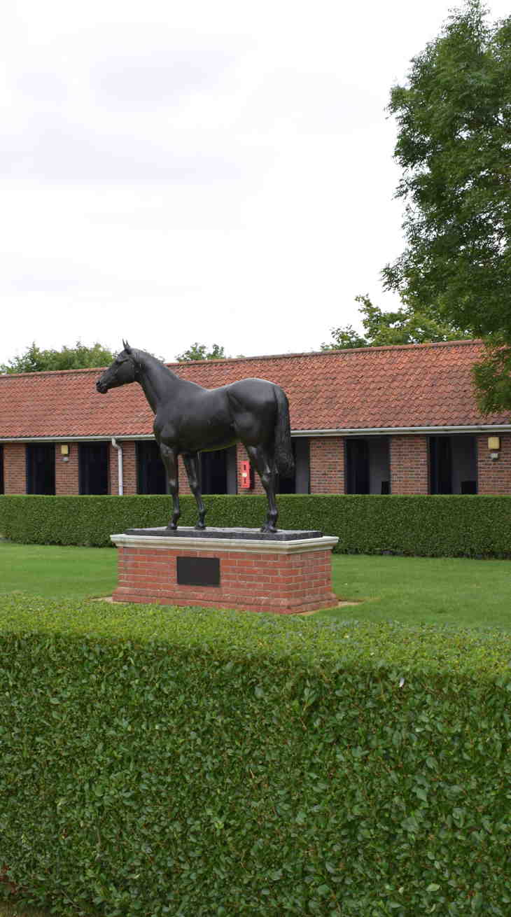 Newmarket42