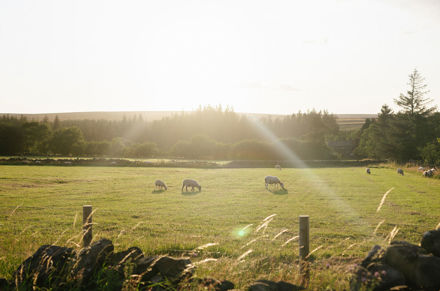 Umbraco.Cms.Core.Models.MediaWithCrops`1[LevyInternational.ContentModels.Image]